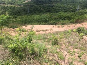 1582 m² Land available in Shallcross
