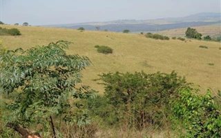20.2 ha Land available in Cato Ridge