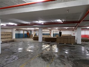 8000 m² Industrial space in Springfield Park