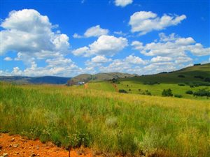 1240 m² Land available in Dullstroom