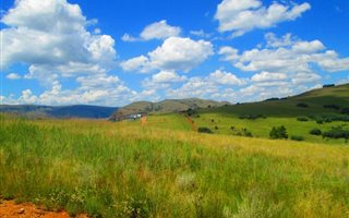 1240 m² Land available in Dullstroom