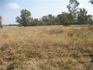 1 ha Land available in Martindale