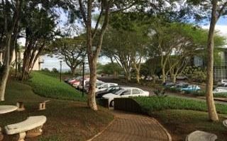 224 m² Commercial space in La Lucia