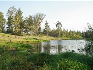 4.3 ha Land available in Rheenendal