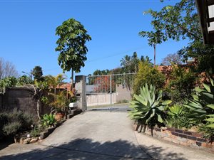 3 Bed House in Selborne