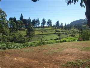 4.5 ha Smallholding in Cliffdale
