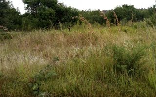 3965 m² Land available in Roossenekal