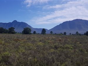 101 ha Farm in Riversdale