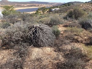 763 m² Land available in Clanwilliam