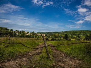 1.8 ha Land available in Raslouw