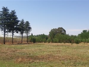 2.1 ha Land available in Bakerton