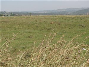 4 ha Farm in Mooiplaats AH