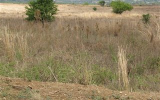 4 ha Farm in Mooiplaats AH
