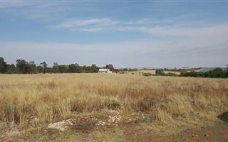2.9 ha Land available in Groenvlei