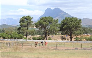 5.4 ha Farm in Klapmuts