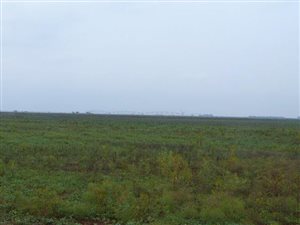 117 ha Land available in Modimole (Nylstroom)