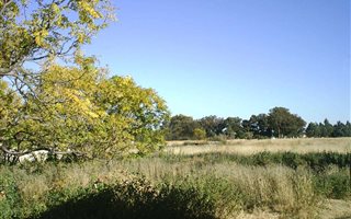 4.3 ha Land available in Estoire