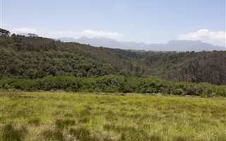 1241 m² Land available in Oubaai and surrounds