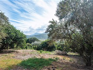 1495 m² Land available in Wilderness