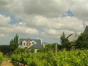 4 ha Farm in Vlottenburg