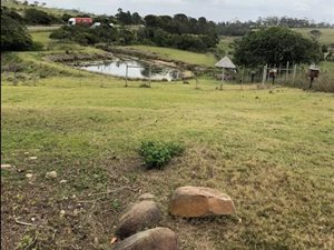7 ha Farm in East London Central