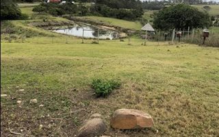 7 ha Farm in East London Central