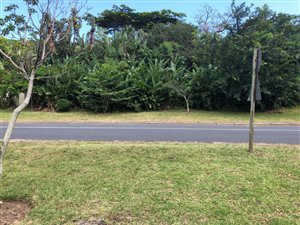 1774 m² Land available in Southbroom