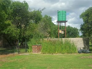 1196 ha Farm in Boshof