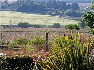 170.7 ha Farm in Lydenburg