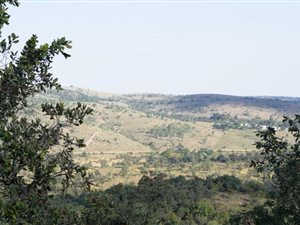 21 ha Farm in Mookgophong (Naboomspruit)