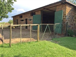 4 ha Farm in Boschkop