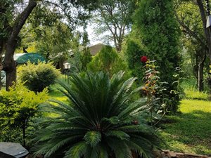 1.2 ha Smallholding in Kameeldrift
