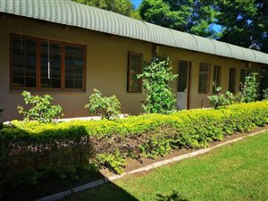 1 Bedroom Garden Cottage in Rietondale