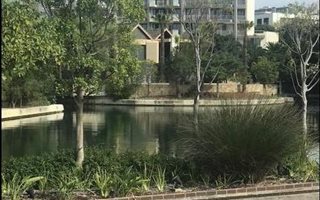 2 Bedroom Apartment in Waterfront
