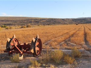 864 ha Farm in Clanwilliam