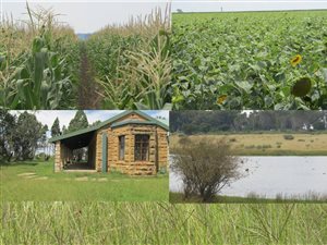 478 ha Farm in Koppies