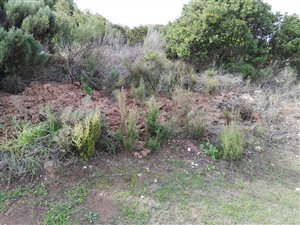 856 m² Land available in Island View