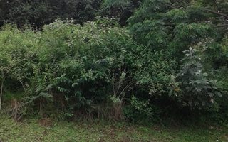 1654 m² Land available in Crestholme