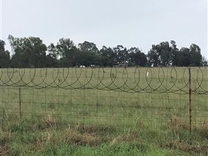 22 ha Farm in Zwartkrans