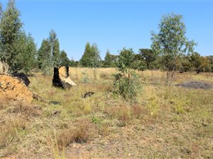 916 m² Land available in Roodeplaat