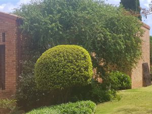 4 Bed House in Irene Glen Estate