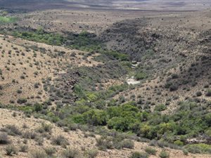 2959 ha Farm in Graaff Reinet