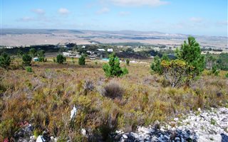 4.5 ha Land available in Baardskeerdersbos