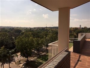 3 Bed Apartment in Sunnyside