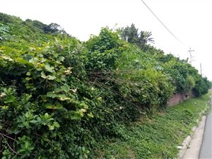 1600 m² Land available in Isipingo Beach