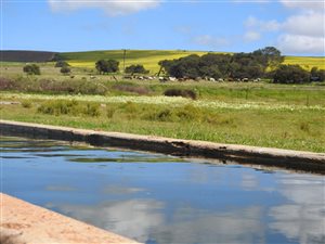 4695 m² Land available in Darling
