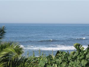3 Bed Apartment in Shelly Beach