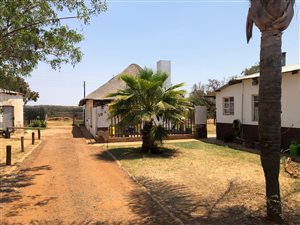 380.6 ha Farm in Koster
