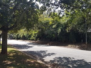 4 Bed House in Bryanston West