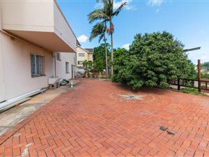 1 Bed Apartment in Lotusville